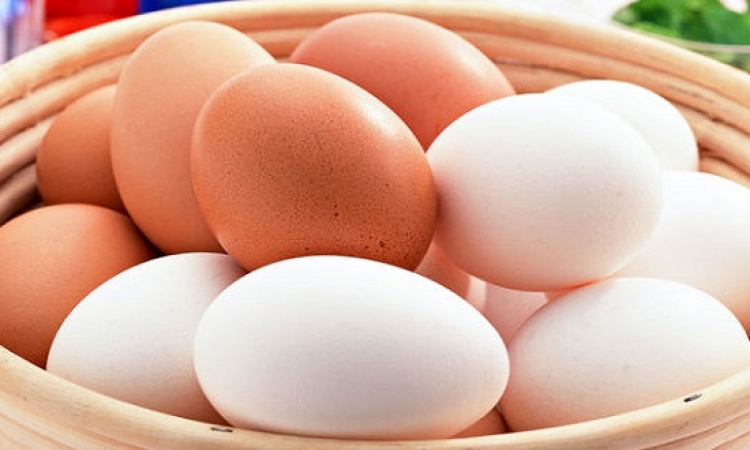 ما الفرق بين البيض البنى والبيض الأبيض ؟