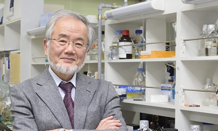 منح نوبل للطب لعالم يابانى لابحاثه فى الإلتهام الذاتى للخلايا