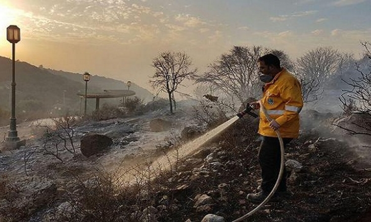 حريق يجتاح شمال إسرائيل وإجلاء آلاف السكان