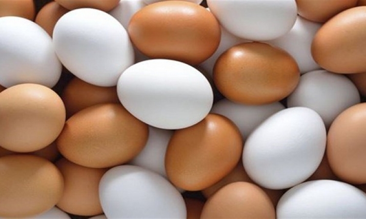 سبب ارتفاع سعر البيض الأحمر عن الأبيض