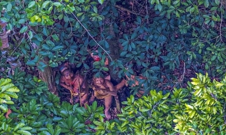 بالصور.. اكتشاف قبيلة أمازونية تعود إلى فجر التاريخ