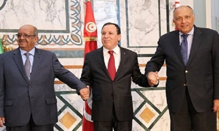 وزراء خارجية مصر وتونس والجزائر يؤكدون فى إعلان تونس رفض التدخل العسكرى فى ليبيا