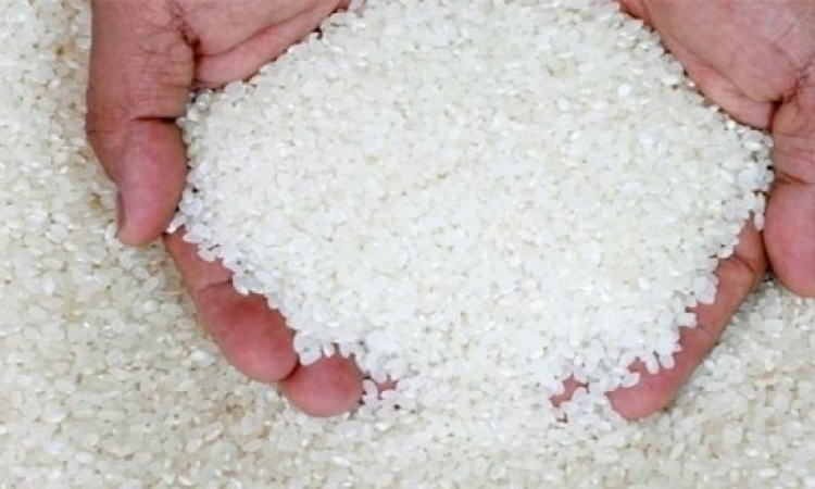 تفاصيل اتفاق التموين مع مضارب الأرز