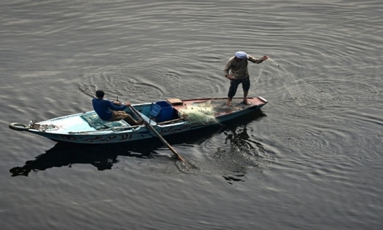 “شعبة الأسماك” تحذر من وقوع كارثة قبل رمضان