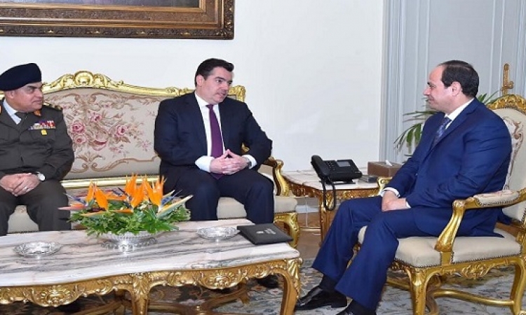 السيسى يبحث تعزيز التعاون العسكرى مع وزير الدفاع القبرصى