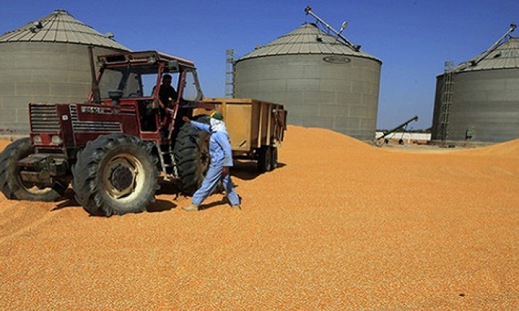 رفع طاقة تخزين صوامع القمح إلى 3.13 مليون طن