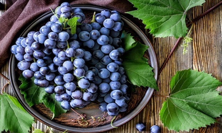 فوائد صحية هائلة للعنب الأزرق