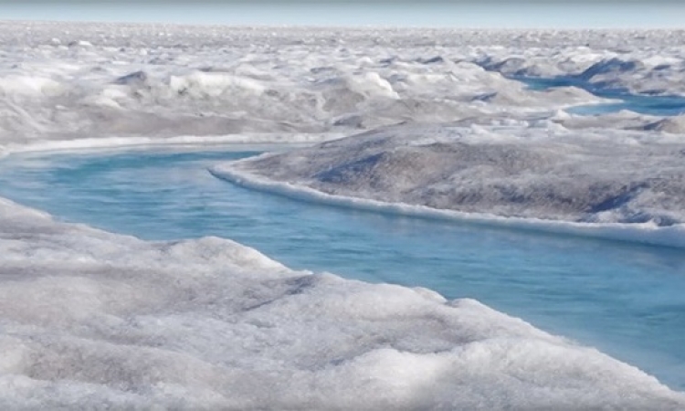 طحالب جرينلاند الجليدية تهدد ملايين السكان حول العالم