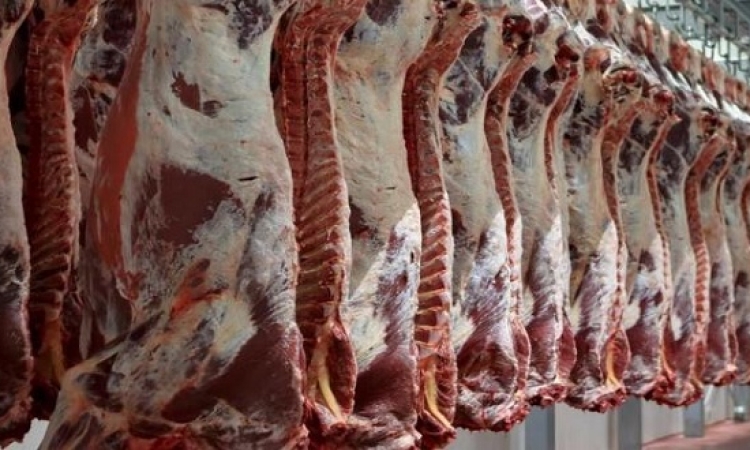 التموين : طرح 30 % زيادة من اللحوم والدواجن استعدادًا لشهر رمضان