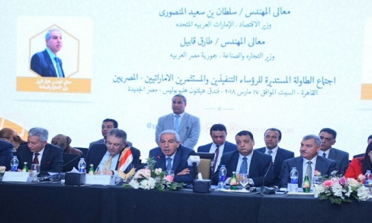 طفرة فى العلاقات الاقتصادية المصرية الإماراتية ومشروع جديد لتوليد الكهرباء
