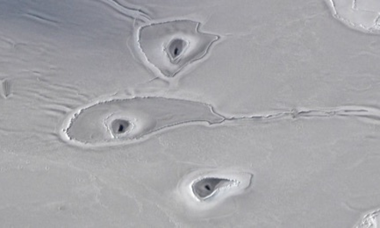 ناسا ترصد علامات غامضة في ثلوج القطب الشمالي