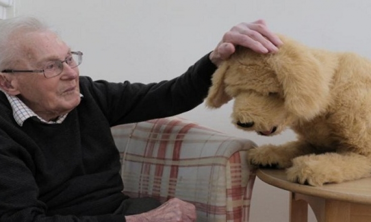 كلب آلي يساعد المسنين ويعيد إليهم الذاكرة