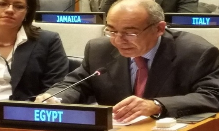 مصر تؤكد فى الأمم المتحدة انها ستظل في طليعة الدول التي تعمل على مكافحة الإرهاب