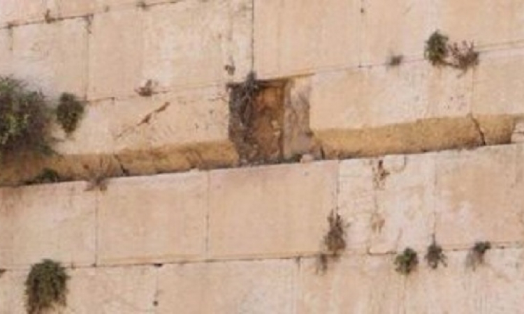 إغلاق قسما من حائط البراق بالقدس بعد سقوط حجر كبير يزن 100 كجم
