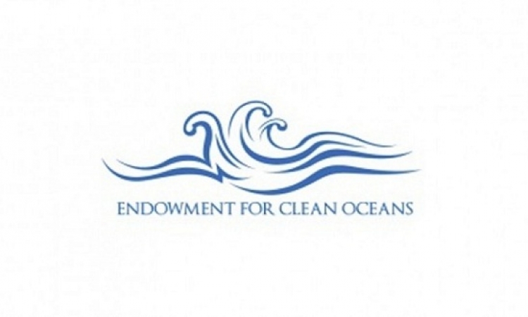 سفيرة المحيط في هولندا تنضمّ إلى لجنة روّاد الأعمال للتحكيم في صندوق الهبات من أجل محيطات نظيفة
