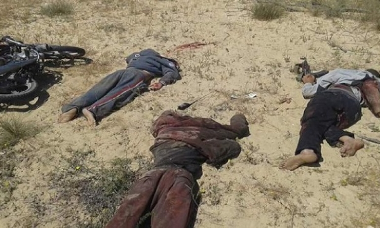 مقتل 11 إرهابيا في تبادل لإطلاق النار مع قوات الشرطة بالعريش