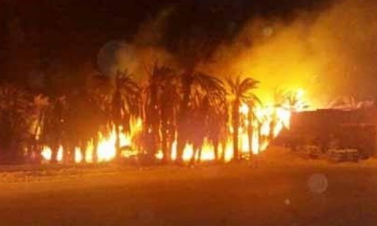 قوات الحماية المدنية تنجح في السيطرة على حريق قرية الراشدة بالوادي الجديد