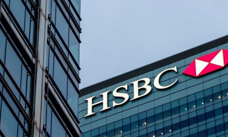 بنك HSBC يدير قرضا مشتركا لشركة بيكو الممولكة لصلاح دياب