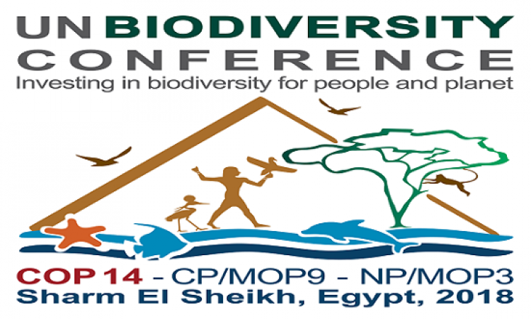 انطلاق المؤتمر العالمى للتنوع البيولوجى برعاية الرئيس السيسى بشرم الشيخ اليوم