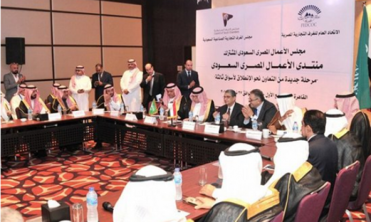 تعاون مصري سعودي لإنشاء مشروعات مشتركة في السوق الإفريقية