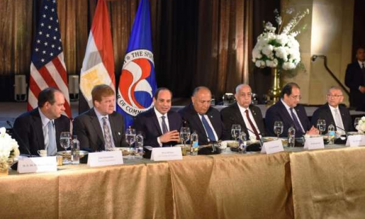 السيسي يؤكد حرص مصر على “استمرار التعاون” مع صندوق النقد