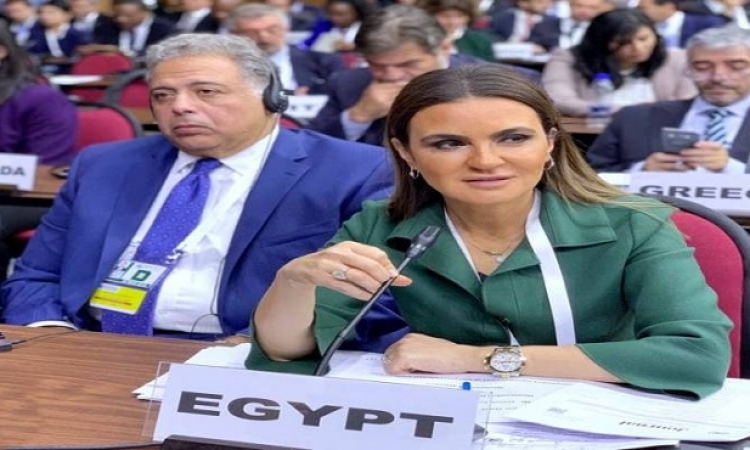 نشاط مصري مكثف في اجتماعات الربيع للصندوق والبنك الدوليين