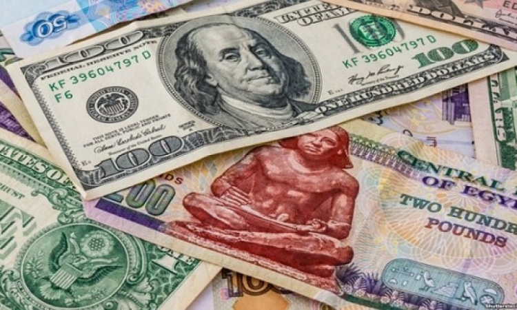 استقرار سعر الدولار أمام الجنيه المصرى
