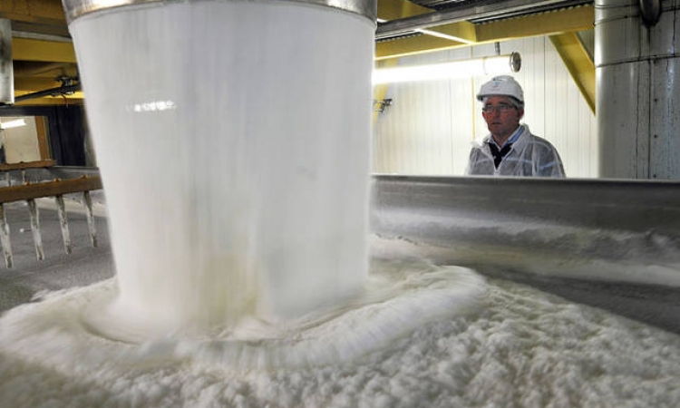 تقرير أمريكى : زيادة إنتاج مصر من السكر إلى 2.4 مليون طن