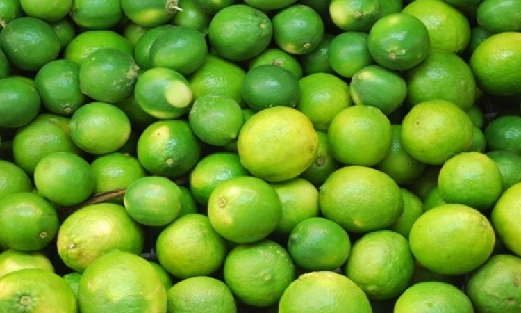 قفزة فى صادرات الليمون تزامنا مع ارتفاع أسعاره
